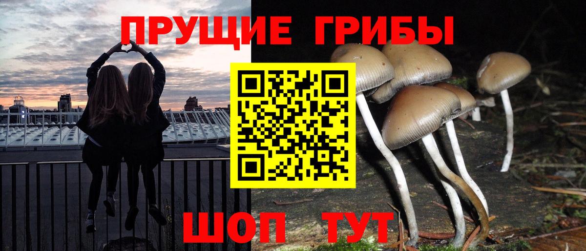 Галлюциногенные грибы Cubensis  где купить   Нижний Новгород  Вход с VPN 